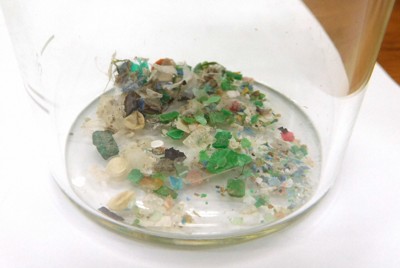 微小プラスチック、頸動脈の隆起に蓄積　脳卒中のリスク高まる