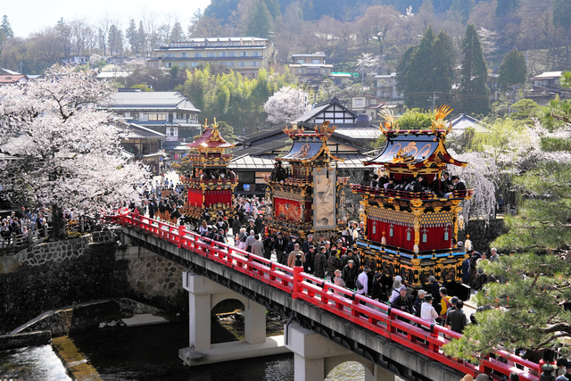 豪華屋台「春の高山祭」始まる　桜と競演、からくりの妙技も