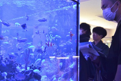 全国で唯一　高校の部活で運営の「長高水族館」、移転し新たな船出