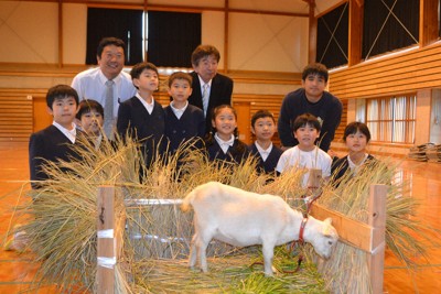 子ヤギの「入学式」　みなみちゃんは新小学1年生　鹿児島