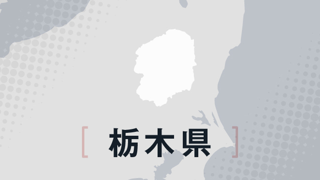 宇都宮商が32年ぶり4強　春季栃木県高校野球大会