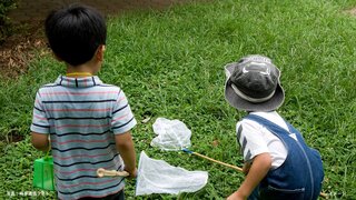 幼児の半数が平日園外で外遊びせず　親子で体動かし遊ぶ頻度高いと「社会性が高い傾向」【初の全国大規模調査】