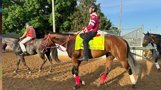 150回目の“ケンタッキーダービー”で日本馬が初の偉業に挑む【競馬】