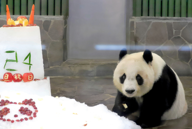 【写真まとめ】寝そべったり、タケノコを食べたり…愛されたタンタン