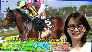 競馬・ヴィクトリアマイル　本命はウンブライル、対抗はナミュール【東大式データ予想】