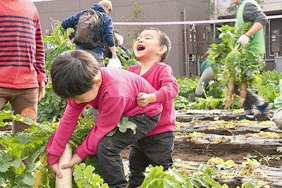 大根だけじゃない！？　農地23区最大の練馬「お金で買えない価値」