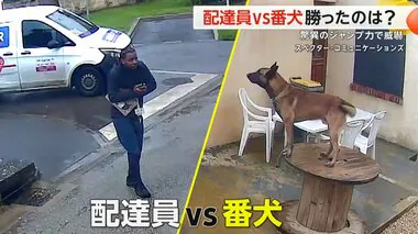 配達員VS番犬　 荷物を届けたいが…驚異のジャンプ力で威嚇される　一瞬の隙をつき宅配ボックスへ　フランス