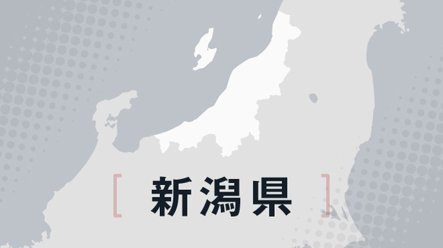 高校軟式野球新潟県大会　新潟商V、北信越大会へ