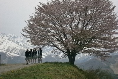 「留学生」が過疎地を救う？　進路の新たな選択肢に注目集まる