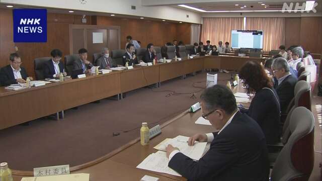 商業捕鯨の対象にナガスクジラ加える案を了承 水産庁の審議会