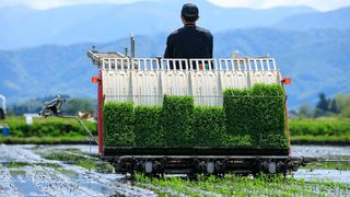 日本の農業総産出額は年9兆円：輸入もほぼ同額に―2023年農業白書