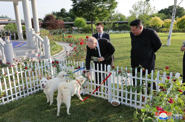 正恩氏がプーチン氏に贈った白い毛の犬　南北外交では「友好の印」に