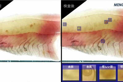 アニサキス、AIが見つけます　画像を数枚学習→ベテラン検査員級に