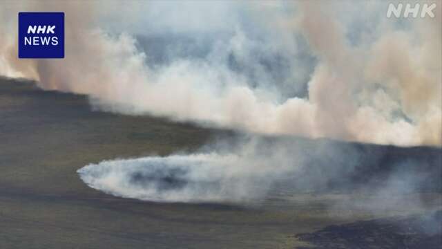 世界最大級の湿原で火災多発 ブラジル当局が非常事態を宣言