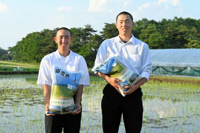 「農業高校の甲子園も目指す」　盛岡農は田んぼも舞台のバッテリー