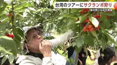 台湾のツアー客、湯沢市で“サクランボ狩り”楽しむ 　秋田県の売り込み実り夏・秋季の誘客に期待