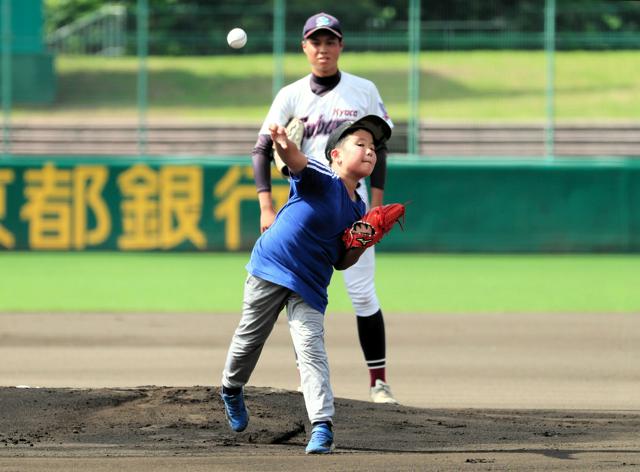 マウンドで力いっぱいの投球　京都大会、小学生による始球式はじまる