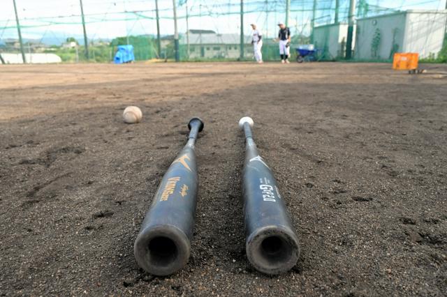 新基準バットの夏、香川でアンケート「ロースコア増え、采配変わる」