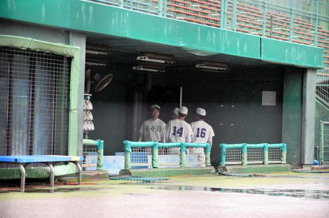 高知大会、15日の4試合が雨で中止　20日に順延　