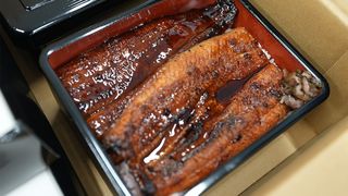 ウナギ好きに朗報！　人工稚魚の大量生産が可能に　年間4万～5万匹