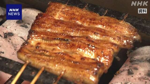 24日は「土用のうしの日」うなぎ高値続く 稚魚の不漁など影響