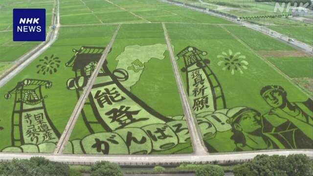 埼玉 行田 能登半島地震の被災地復興を願う田んぼアートが見頃