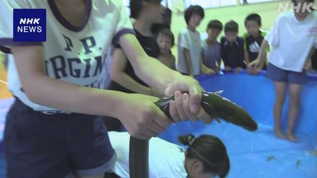 「土用の丑の日」子どもたちがウナギのつかみ取り 島根 益田