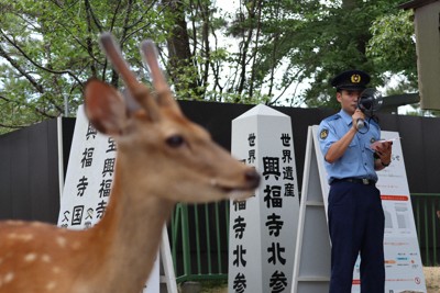 「神の使い」に暴行許さぬ　奈良のシカ蹴る動画拡散で県警パトロール