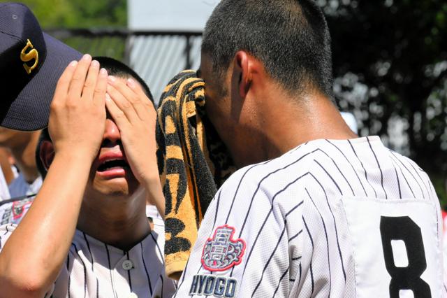 【写真まとめ】報徳学園と明石商が頂点へ熱戦　兵庫大会、28日決勝