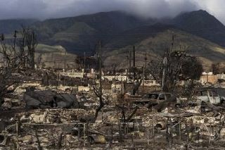 ハワイ山火事、４０億ドル和解金　被災者２２００人らに、基本合意