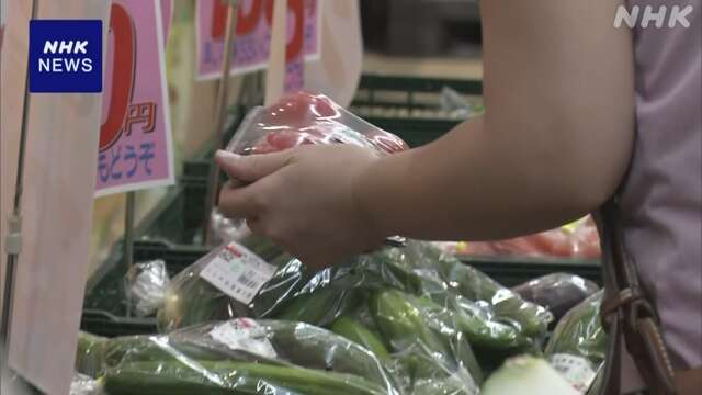 農林水産省 ”平年より高値の野菜も” 天候不順などの影響で