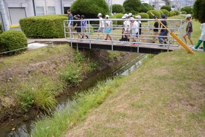 工場内にカニやウナギ　水辺や緑地が生物のオアシスに　環境保全PR