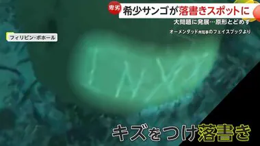 希少サンゴが“落書き”スポットに…「キム」「ミン」韓国人観光客？　“シュノーケル禁止”大問題に発展…チップ目当てのガイド関与か　フィリピン