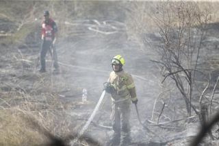 ガザ空爆で人質３人死亡か　イスラエル軍が調査結果