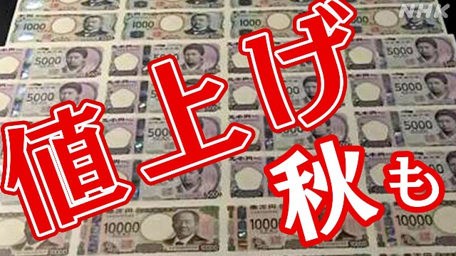 秋も食料品の値上げ相次ぐ コメにチョコ 10月さらに2000品目が