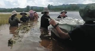 お米が3倍近く値上がり…国軍との戦闘に豪雨被害が追い打ちをかけたミャンマーの惨状