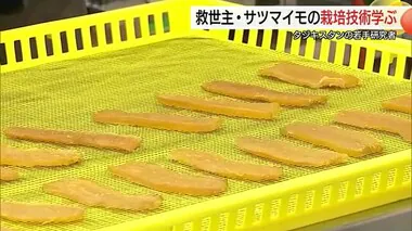 サツマイモをタジキスタンの救世主に…気候変動による干ばつでピンチ　研修者らが栽培技術習得へ鳥取訪問