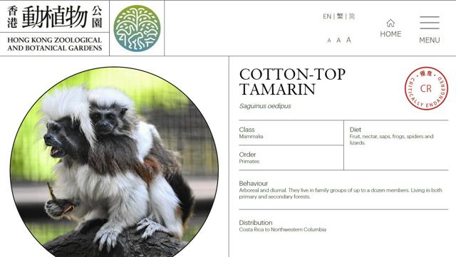 香港の動物園で絶滅危惧種含むサル9匹死亡、感染症指摘も　園は閉鎖