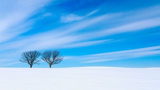 北海道が16年連続のトップ―地域ブランド調査 : 神奈川県が上昇、福井県に新幹線効果