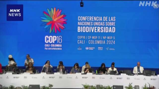 生物多様性の保護を話し合う国連会議「COP16」始まる