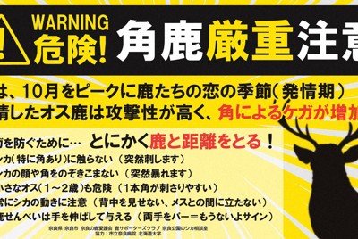 奈良公園で鹿の角が刺さりけが、7倍に急増　発情期で攻撃性高く