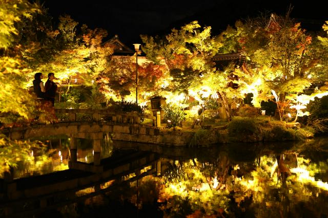 秋の夜に浮かぶ紅葉　京都・永観堂禅林寺「もみじのライトアップ」