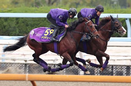 必勝期すドウデュース　競馬のジャパンＣ追い切り