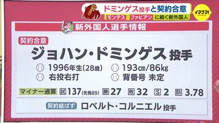 広島カープ　ドミンゲス投手と契約合意　モンテス、ファビアンに続く新外国人