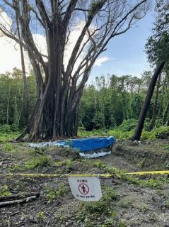 激戦地ペリリュー島に集団埋葬地　遺骨７柱発見、発掘加速へ