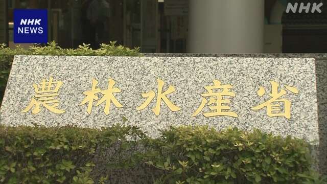 農水省 加工業者や卸売業者など支援の新制度導入へ