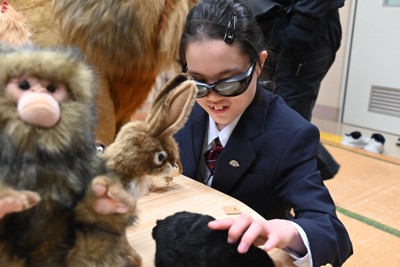 子どもが模型触って姿イメージ　視覚支援学校で「さわれる動物園」