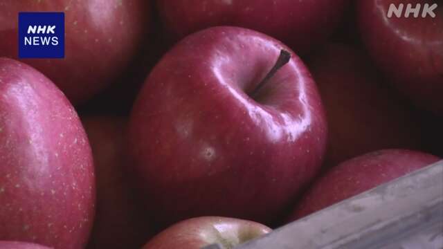 青森 鶴田町 特産のりんご持ち寄り学校給食に