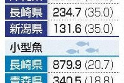 クロマグロ、大型は25％増枠決定　国内配分　小型魚も拡大