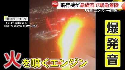 「ブーン」異様な音が機内に…爆発音とともにエンジンが火を噴く“バードストライク”の瞬間　アメリカ・ニューヨーク